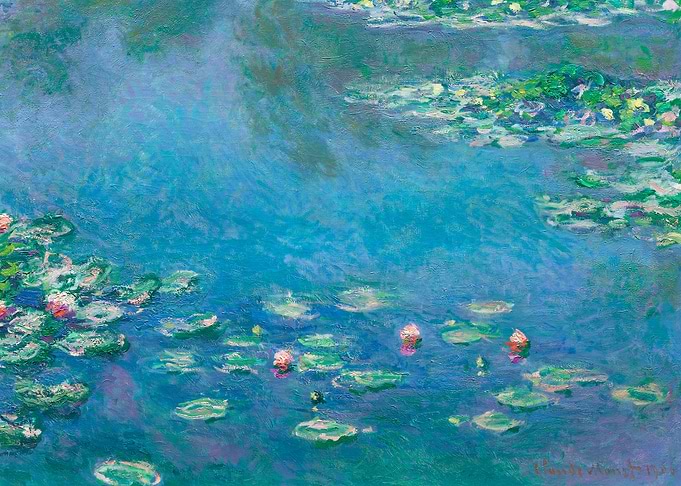 Water Lilies