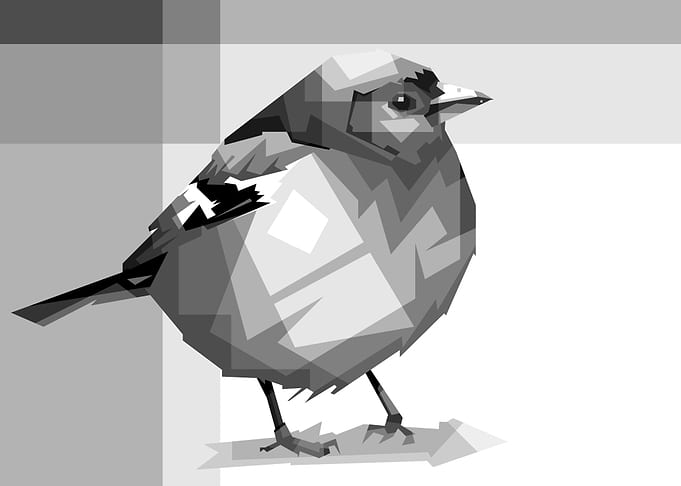 abstract of a bird