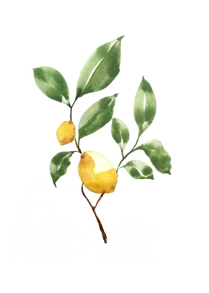Botanical