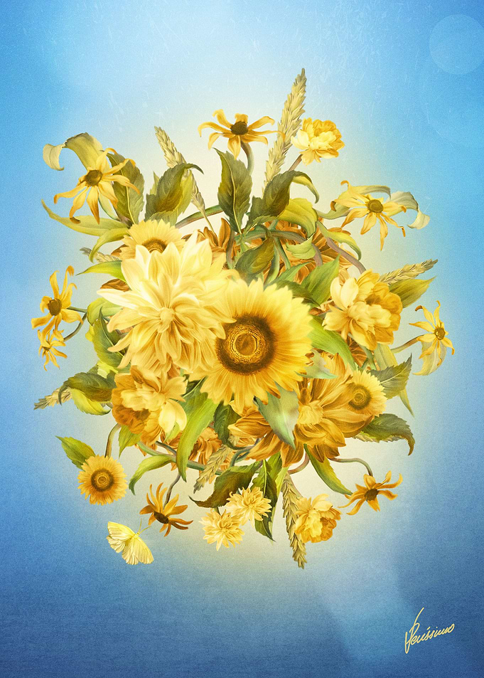 Sunlight Flowers