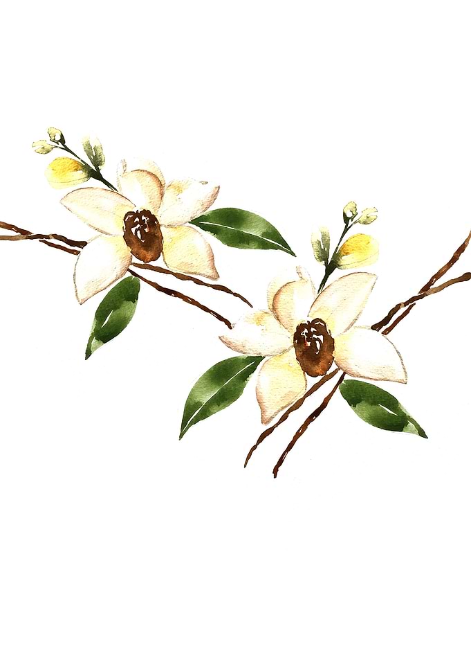 Floral