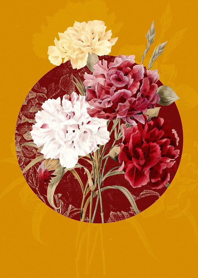 Vintage Carnation Flower
