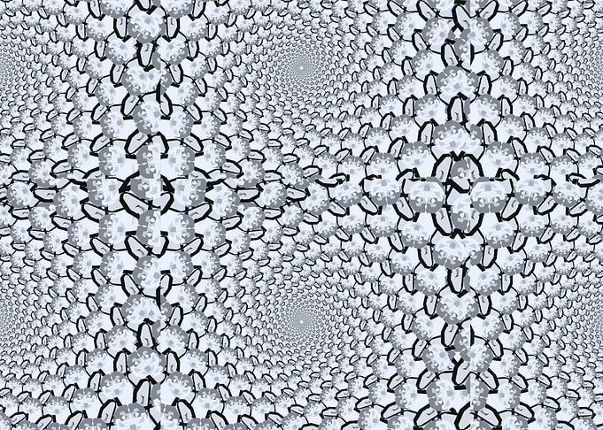 Corgi Optical Illusion e