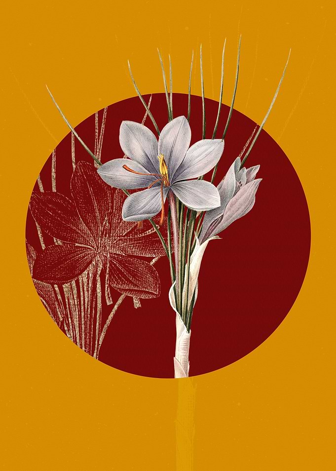 Vintage Autumn Crocus