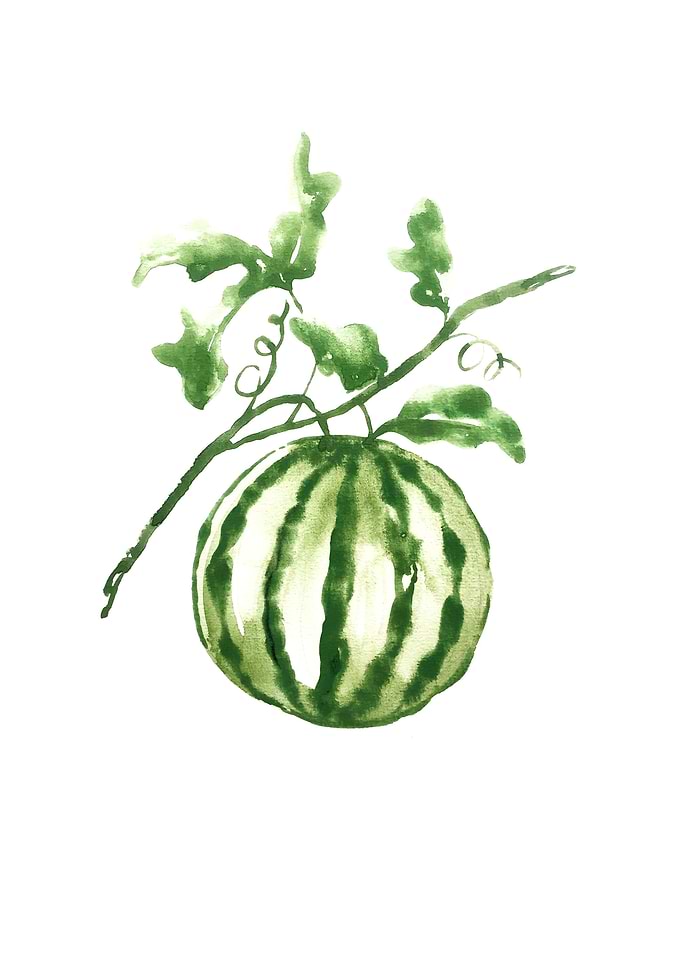 Botanical