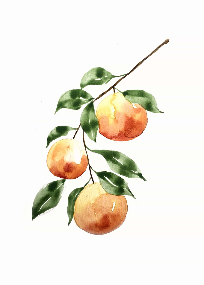 Botanical