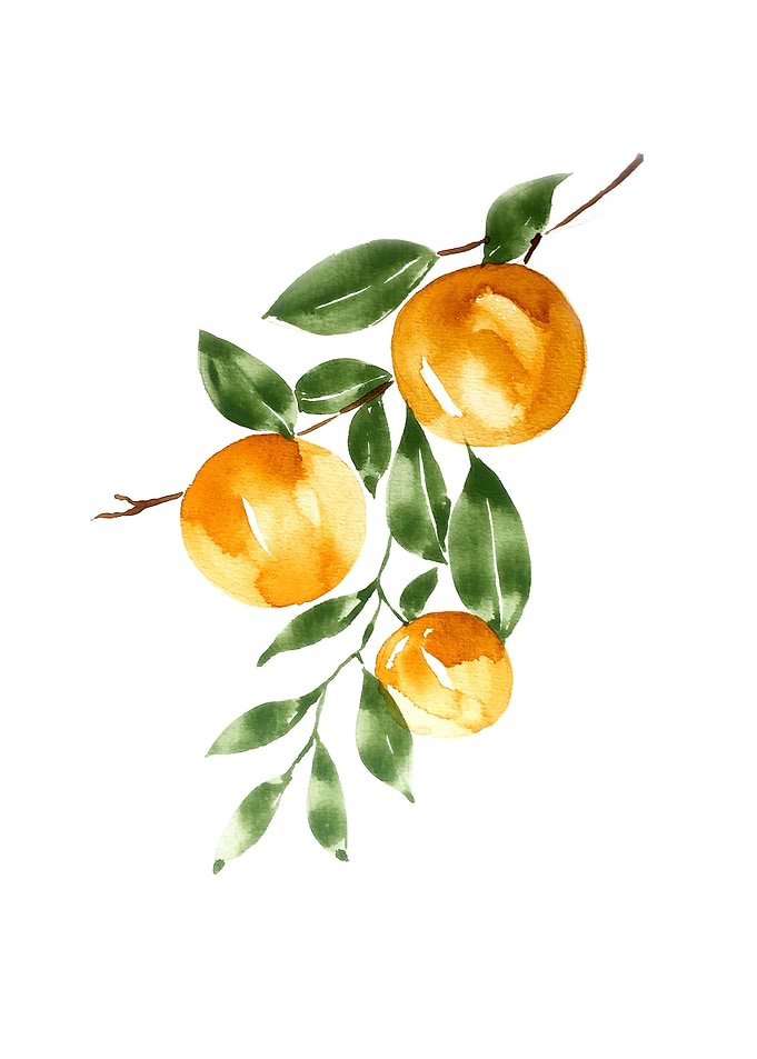 Botanical