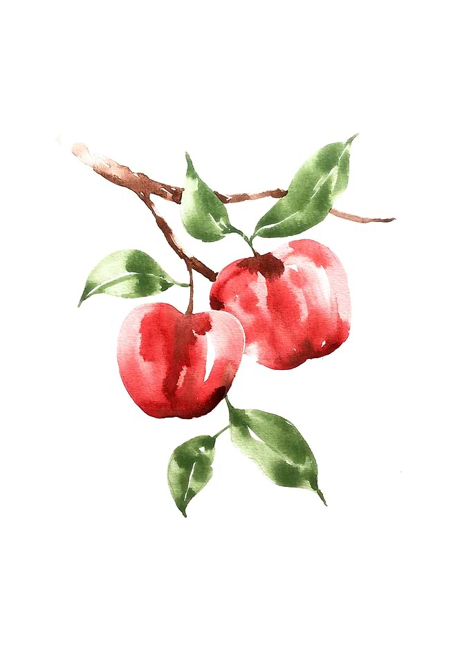 Botanical