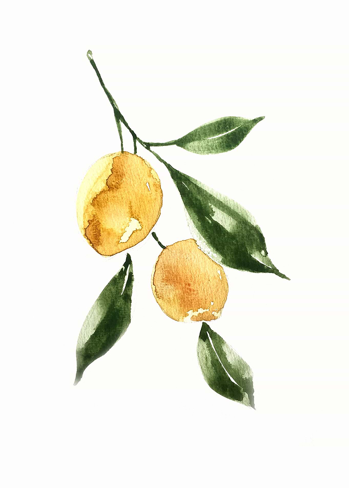 Botanical