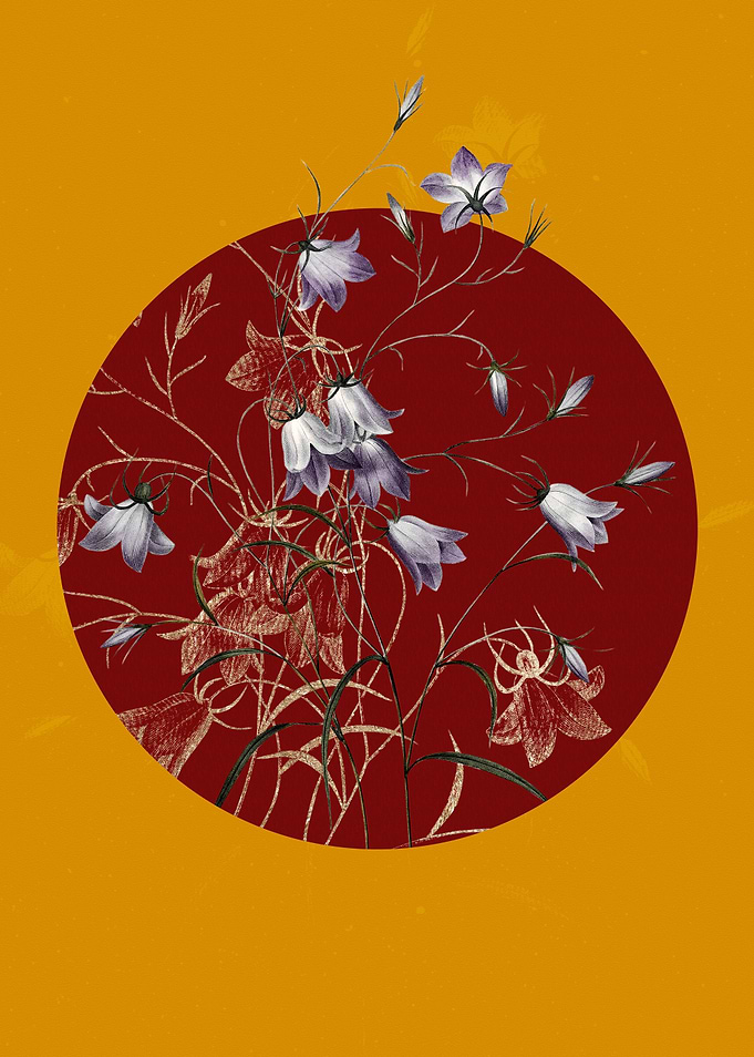 Campanule Clochette