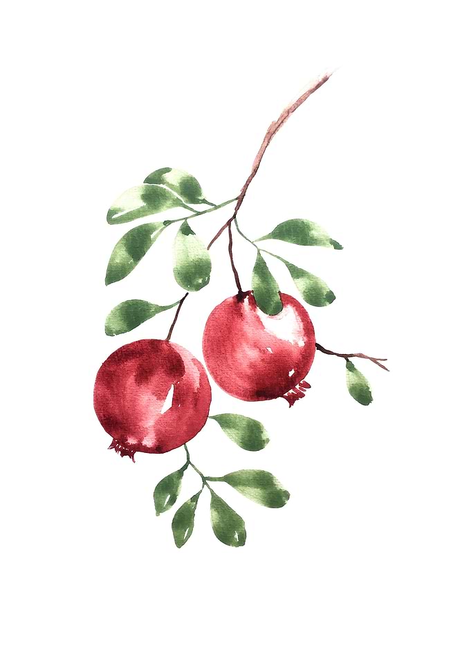 Botanical
