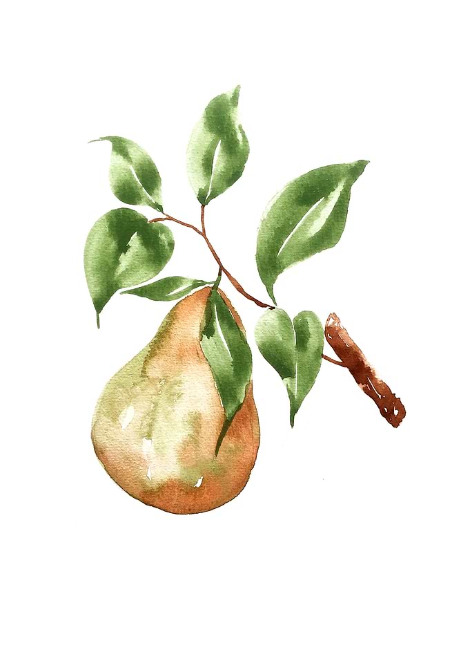 Botanical