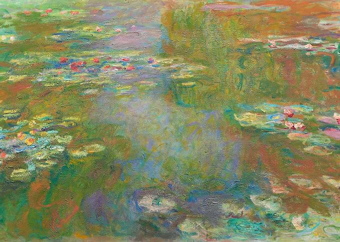 Water Lily Pond