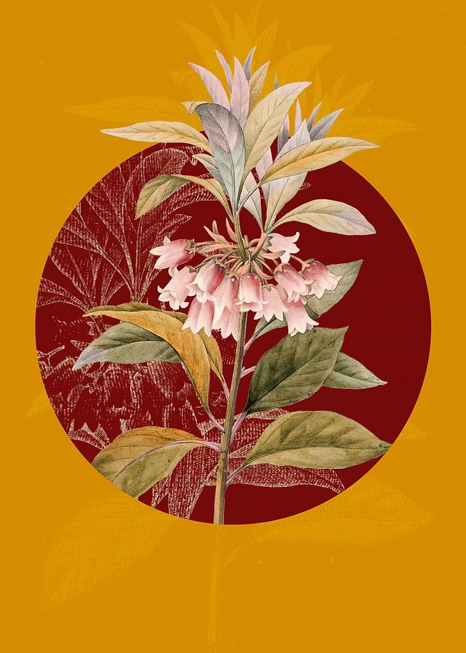 Chinese New Year Flower