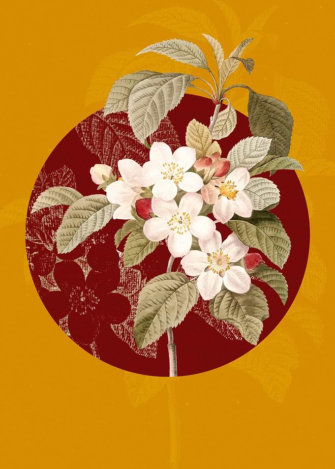 Vintage Apple Blossom