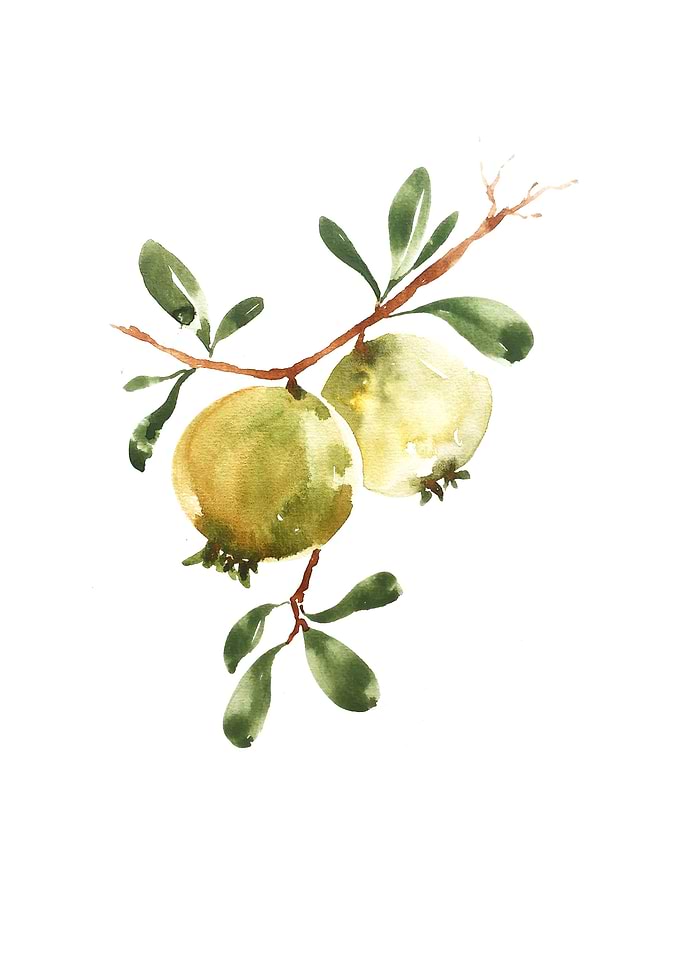 Botanical