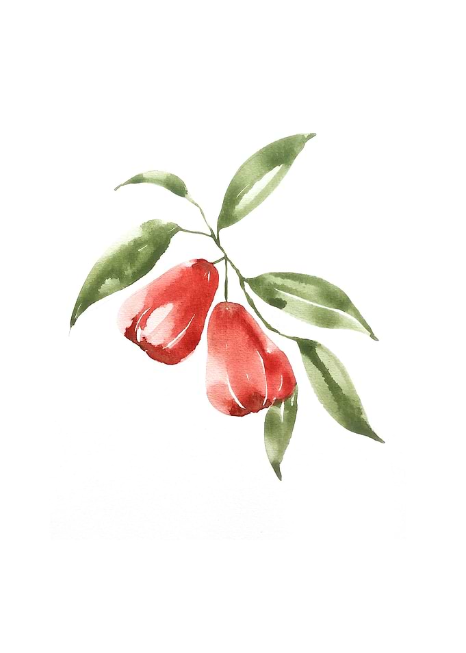 Botanical