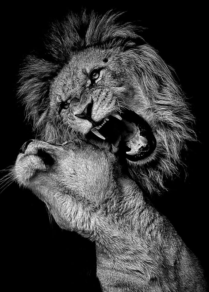 Lions Love painting poster