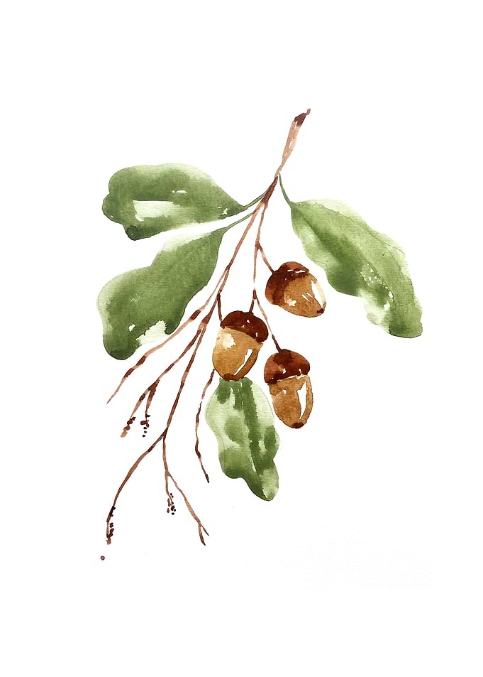Botanical