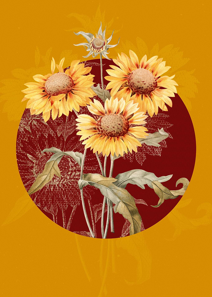 Vintage Blanket Flowers