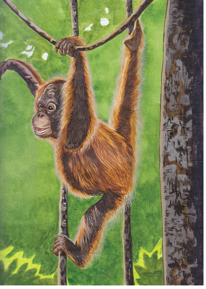 Hanging Orangutan