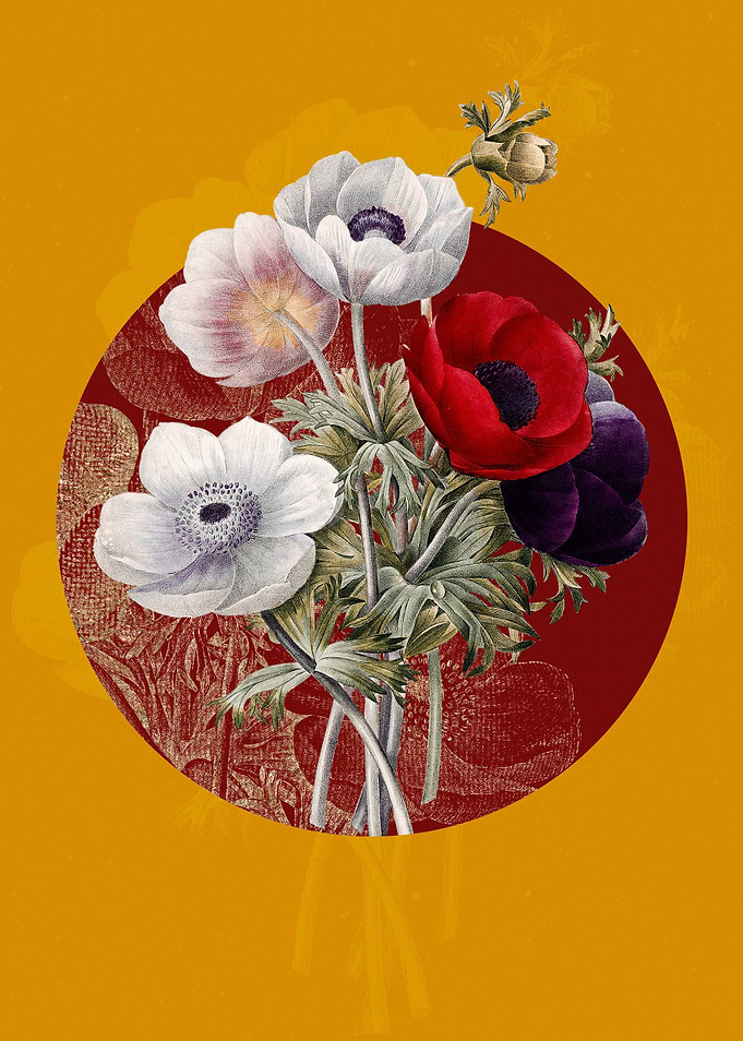 Vintage Anemone Simplex