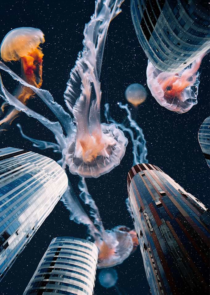 Jelly Sky II