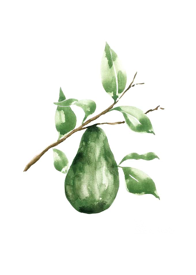 Botanical