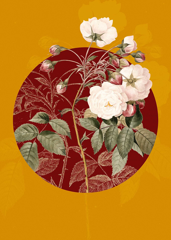 Vintage White Flowers