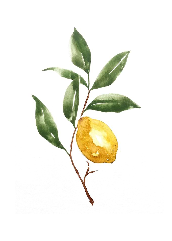 Botanical