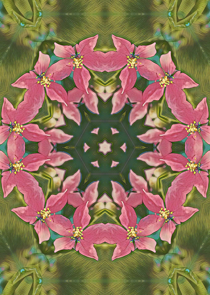 Abstract Flower themes