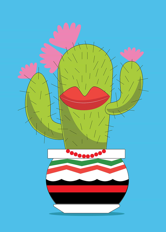 Maxican Lady Cactus