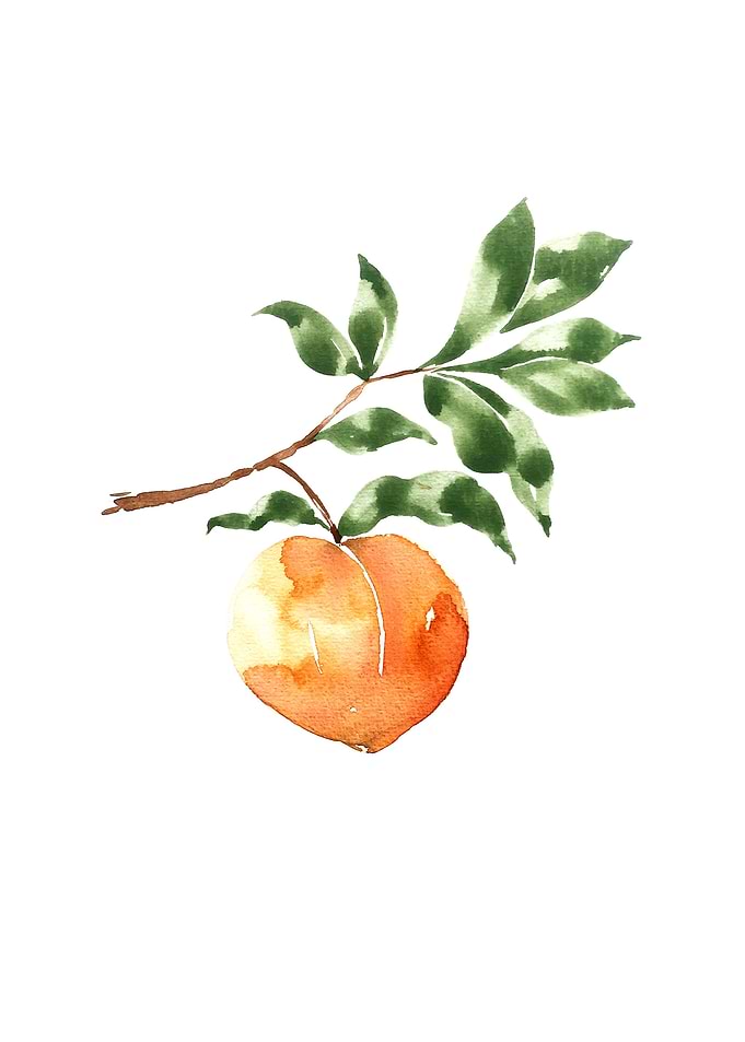 Botanical