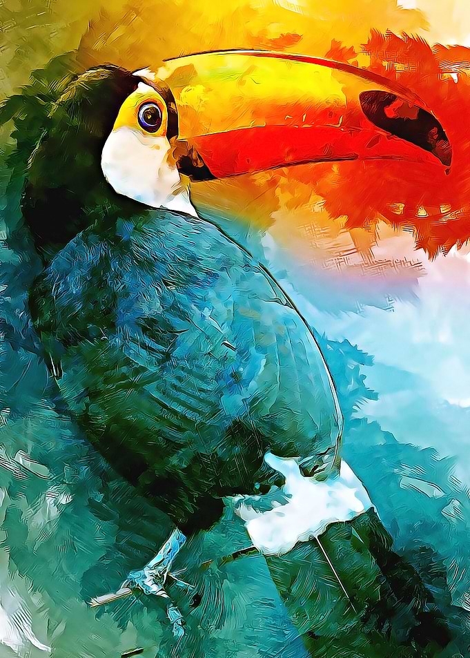Toucan