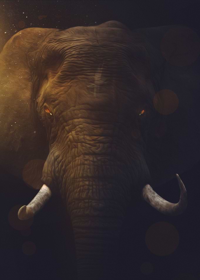 The Elephant