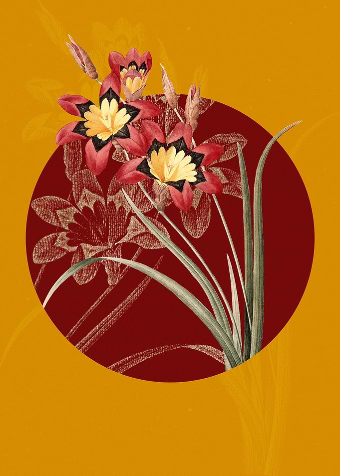 Vintage Ixia Tricolore