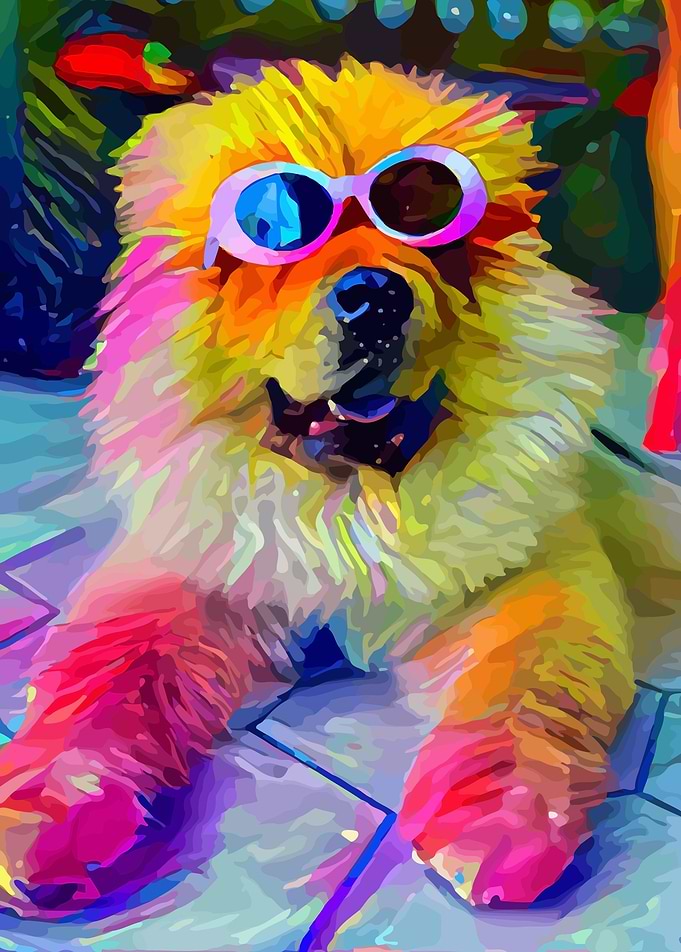 Chow Chow