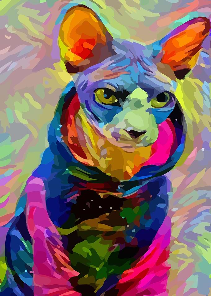 Sphynx Cat
