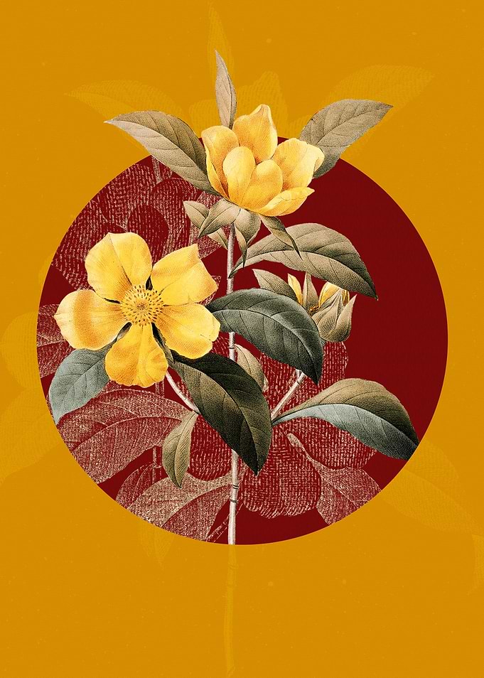 Golden Guinea Vine