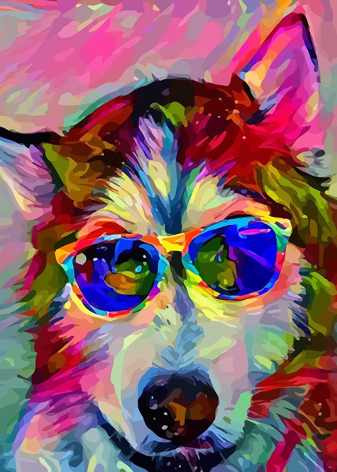 Siberian Husky