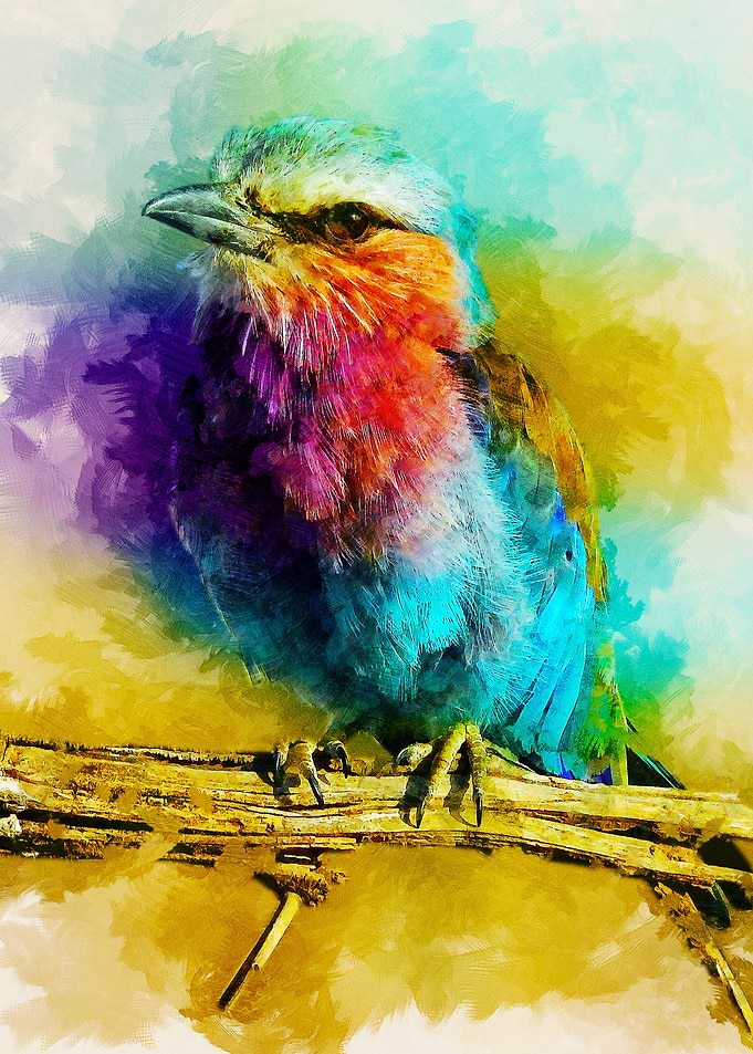 Sparrow