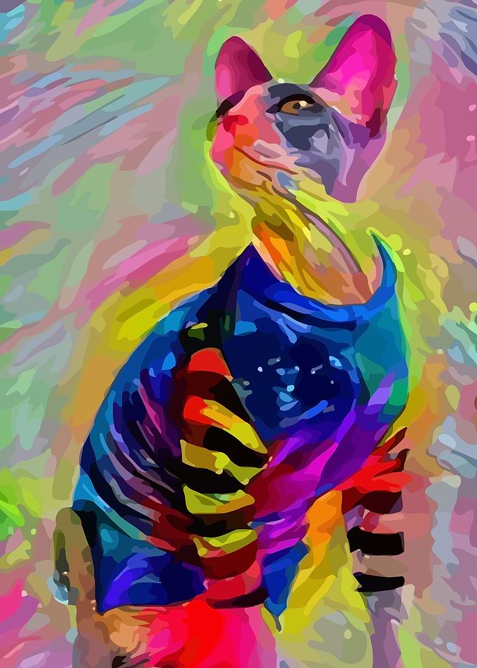 Spynhx Cat