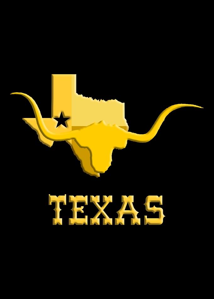 Texas Map Longhorn Head