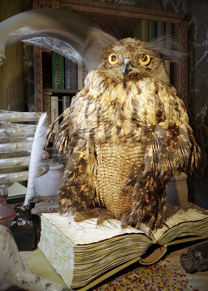 Alchemy Owl