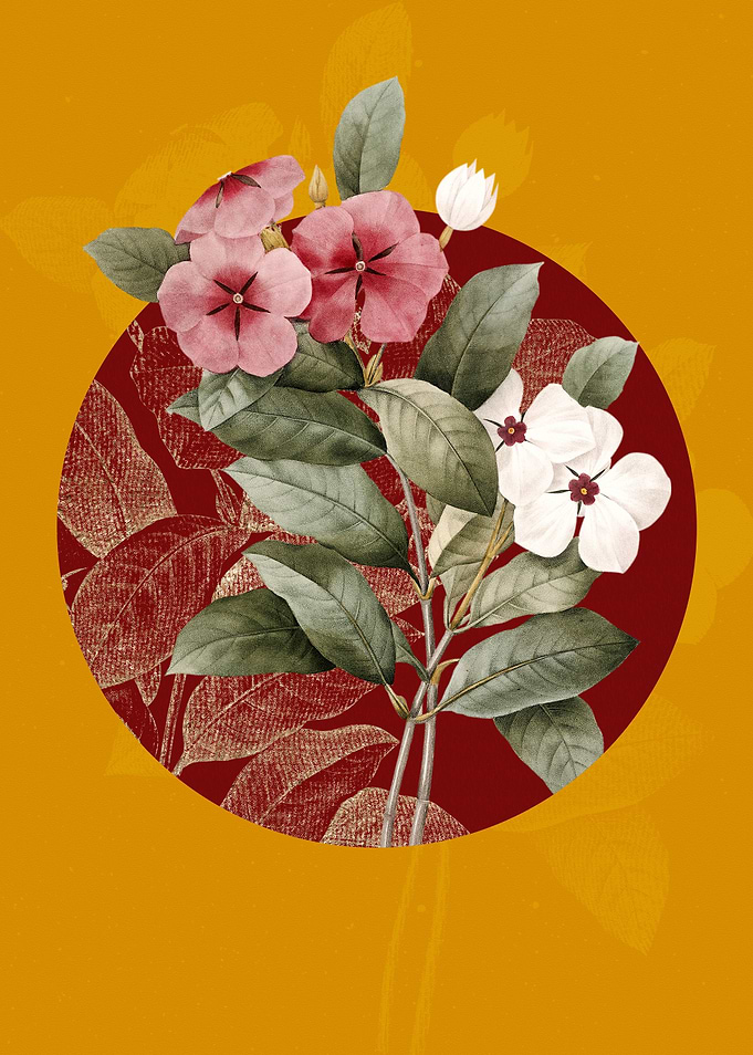 Vintage Periwinkle Flower