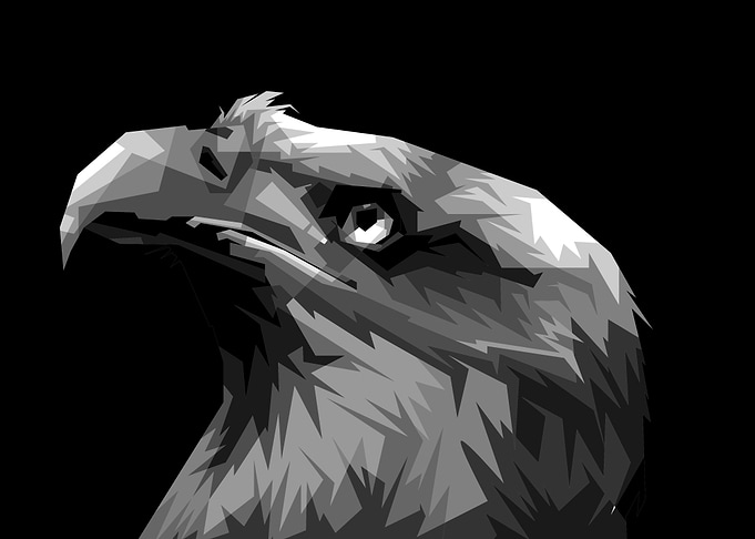 eagle head grayscale