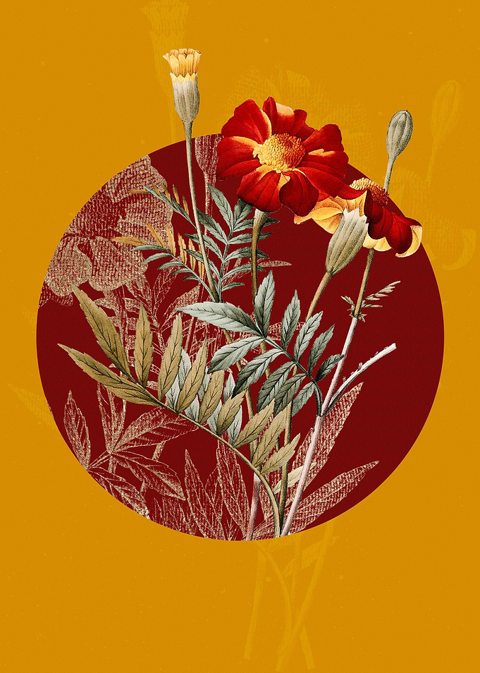 Vintage Mexican Marigold