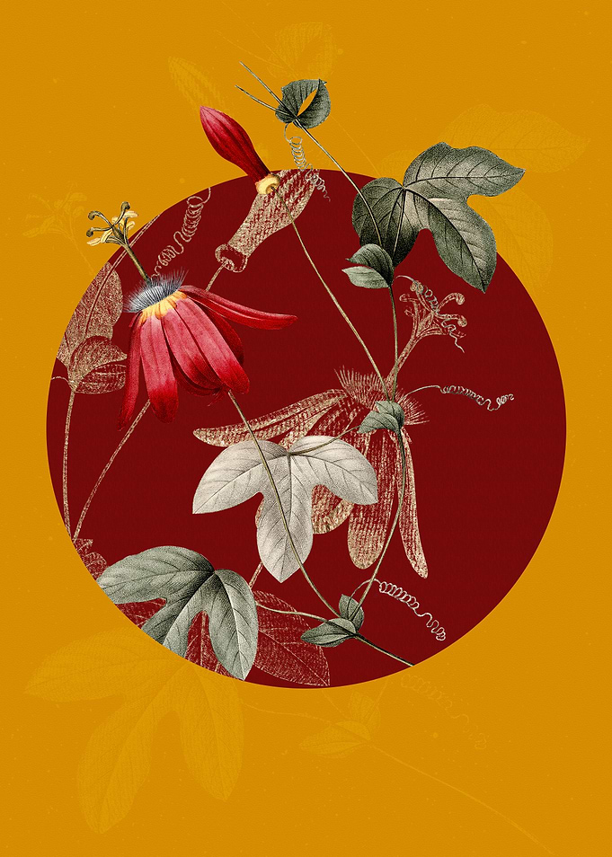 Vintage Red Passion Flower