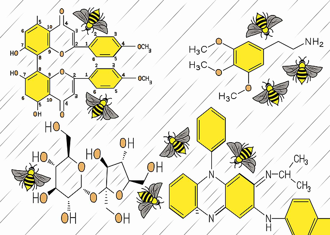 honeycomb