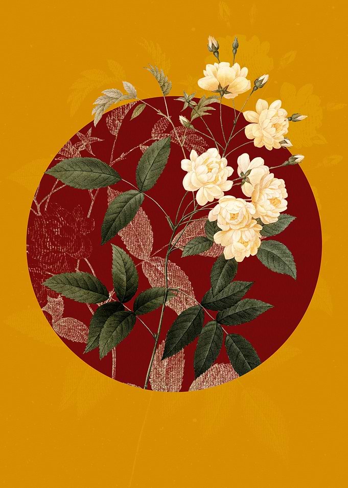 Vintage Lady Banks Rose